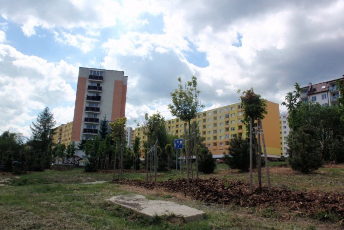 Ilustračný obrázok k článku Nedáš výplatu? Dostaneš bitku!