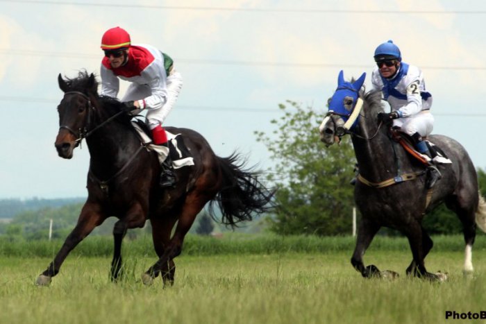 Ilustračný obrázok k článku Krása a sila koní snúbená v jedno: Dostihový deň v Šuranoch