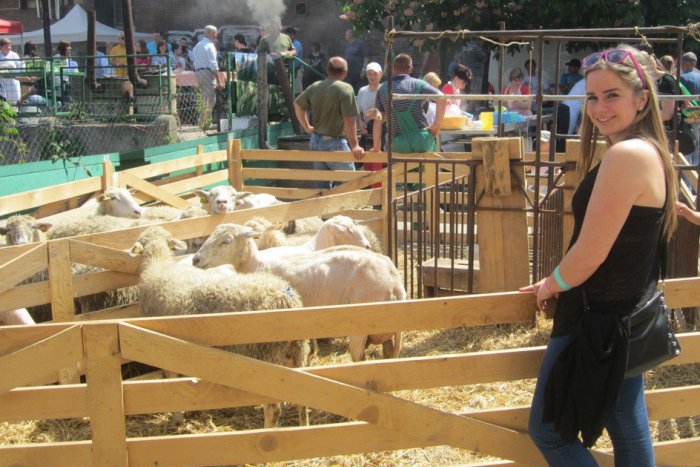 Ilustračný obrázok k článku Veľká akcia len na skok od Bardejova: Hornotopliansky jarmok sľubuje bohatý program