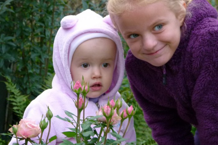 Ilustračný obrázok k článku Pozrite si, ako Revúčania zvládli Míľu pre mamu...