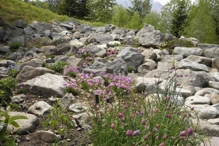 Ilustračný obrázok k článku Botanická záhrada opätovne otvára svoje brány. Najkrajšia je v máji a júni