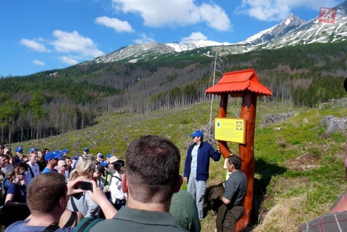 Ilustračný obrázok k článku Dar pre Tatry: 25 000 stromčekov od spoločnosti Lidl