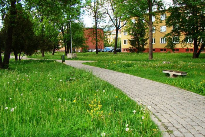 Ilustračný obrázok k článku Zelené plochy bez mena sú minulosťou: V Mikuláši pribudli Park Ivana Laučíka či M.R. Martákovej