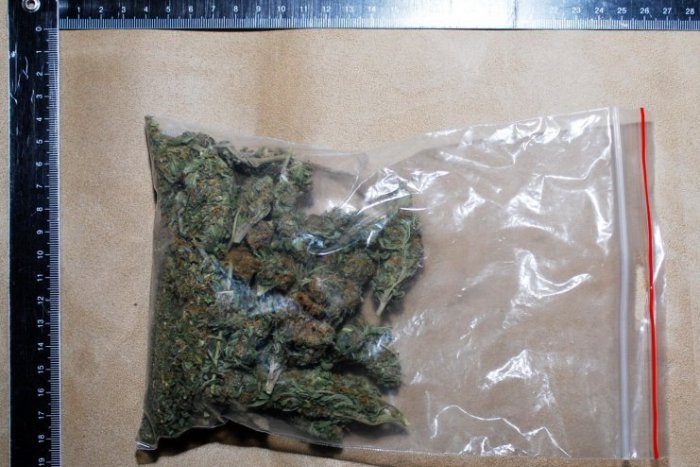 Ilustračný obrázok k článku Akcia zameraná na drogy: Michalovskí policajti našli konope aj pervitín