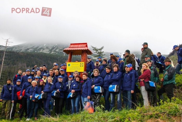 Ilustračný obrázok k článku Lidl vytvoril slovenský rekord. Jeho zamestnanci vysadili v Tatrách 5200 stromov za jeden deň