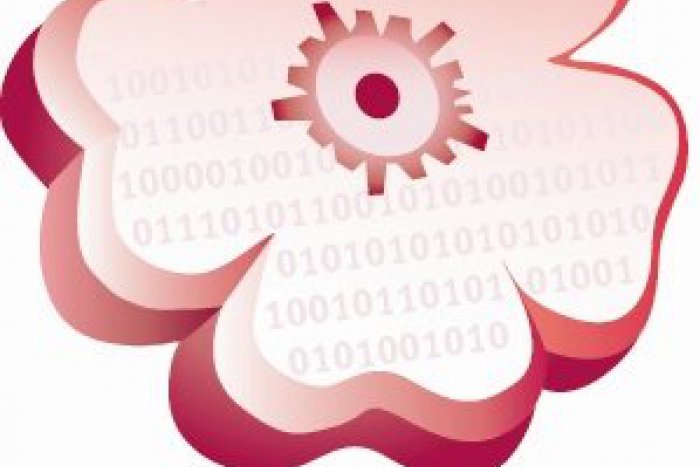 Ilustračný obrázok k článku Zaujalo nás: DigiGirlz 2013