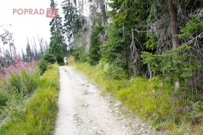 Ilustračný obrázok k článku Niektoré turistické chodníky potrebujú opravu. Chýbajú však peniaze