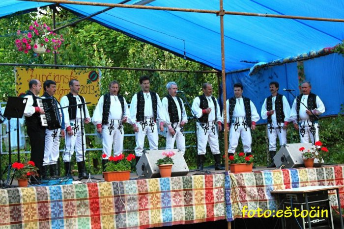 Ilustračný obrázok k článku FOTO: Tanec, spev a dobrá nálada. To boli folklórne slávnosti v Župčanoch!