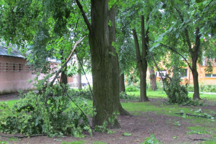 Ilustračný obrázok k článku Meteorológovia pre náš okres vydali výstrahu až 2. stupňa: Vietor môže dosiahnuť silu orkánu!