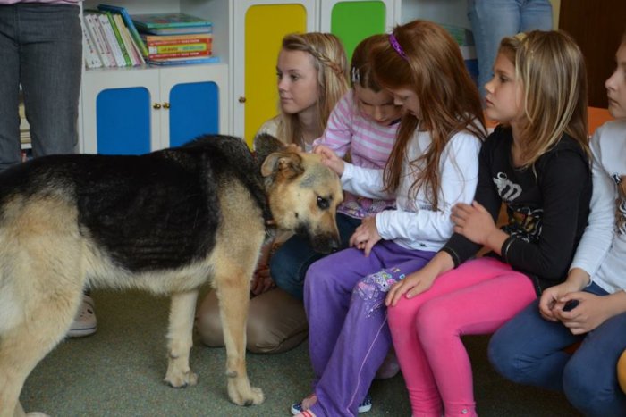 Ilustračný obrázok k článku Deň detí, na aký len tak nezabudnú: Škôlkari cez fonendoskop počúvali tlkot psieho srdca