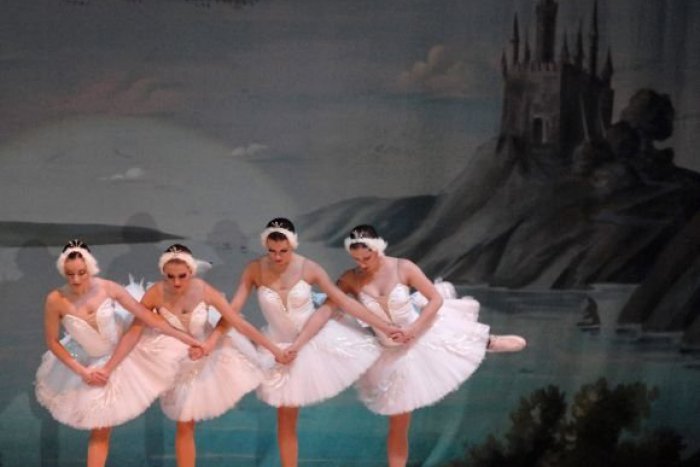 Ilustračný obrázok k článku Kvôli Labutiemu jazeru nemusíte cestovať do Petrohradu: Zažite ho už dnes v Lučenci