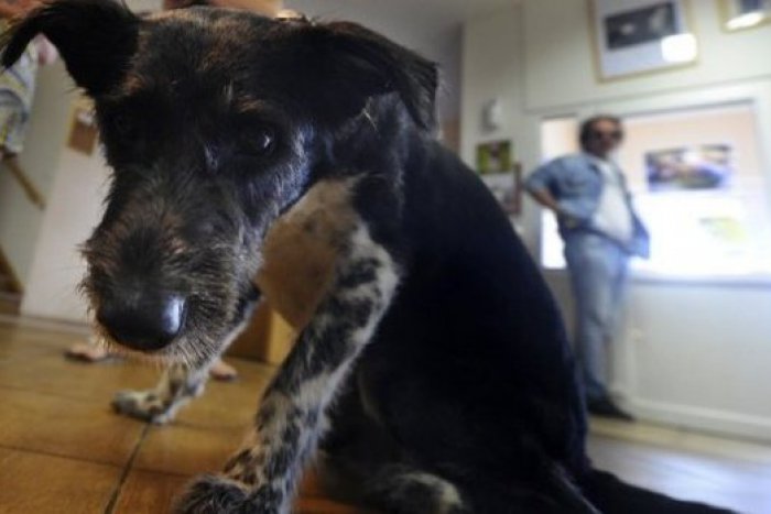 Ilustračný obrázok k článku VYHODNOTENIE SÚŤAŽE: Kto vyhral BIO kozmetiku so spoločnosťou Bellua?