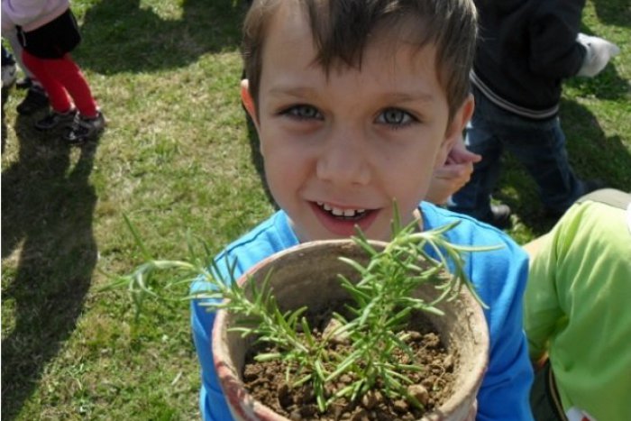 Ilustračný obrázok k článku Najväčší ekoprogram sveta hľadá školy, ktoré sa chcú zmeniť