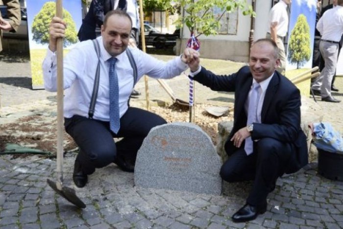 Ilustračný obrázok k článku Kaník ohlásil kandidatúru na župana: Postu poslanca by som sa nevzdal, platu áno!