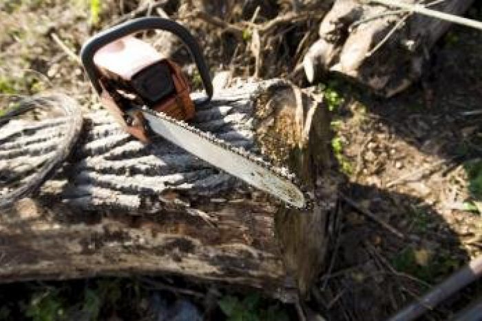 Ilustračný obrázok k článku Polícia: Ondrej (26) vnikol do dvora rodinného domu a kradol!