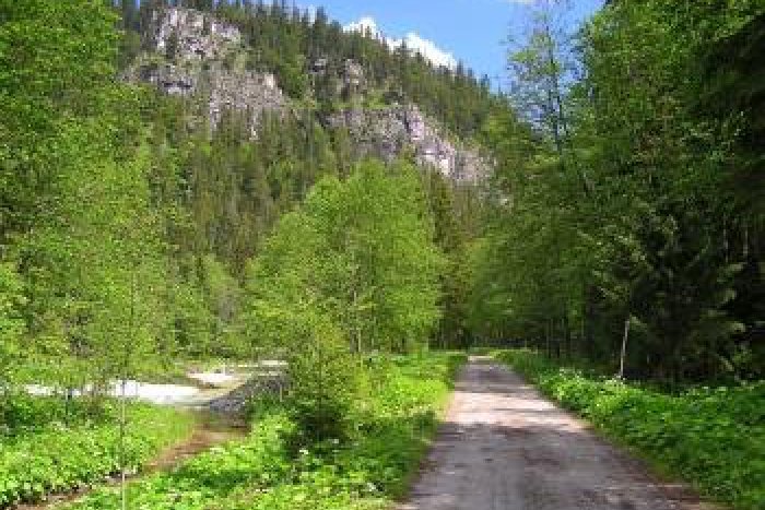 Ilustračný obrázok k článku Skončila sa rekonštrukcia náučného chodníka na Poľane: Má dva okruhy