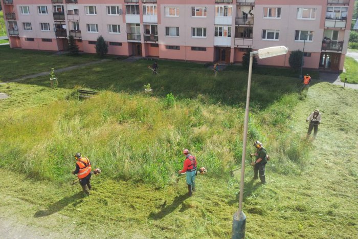 Ilustračný obrázok k článku Boj s vysokou trávou vo Zvolene: Len čo skončí prvé kolečko kosenia, začne ďalšie