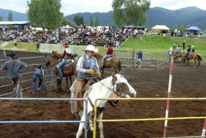 Ilustračný obrázok k článku Víkendové tipy: Rodeo, čučoriedky, baranie hody, volské záprahy či futbal