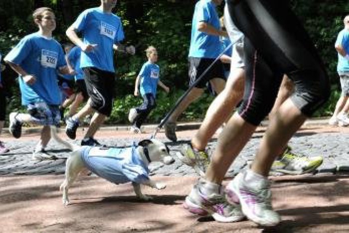 Ilustračný obrázok k článku Zabehajte si aj vy! Príležitosť budete mať v poľskom Krosne