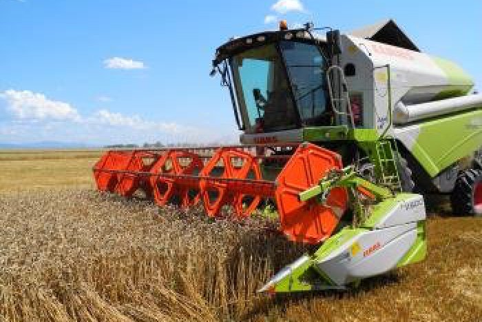 Ilustračný obrázok k článku V regióne Hontu sa mešká so žatvou, ktorú ovplyvňuje počasie: Úroda však bude dobrá