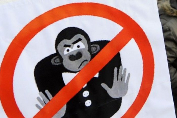 Ilustračný obrázok k článku Guerilla v Humennom: Nevideli ste ju?