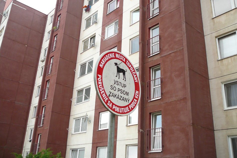 Ilustračný obrázok k článku Topoľčanci a daň za psa: Suma je vysoká, mesto nič nerobí!
