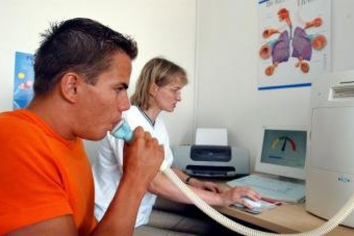 Ilustračný obrázok k článku Vysoké koncentrácie peľu alergizujúcej pŕhľavy: V Bystrici namerali denné maximum!