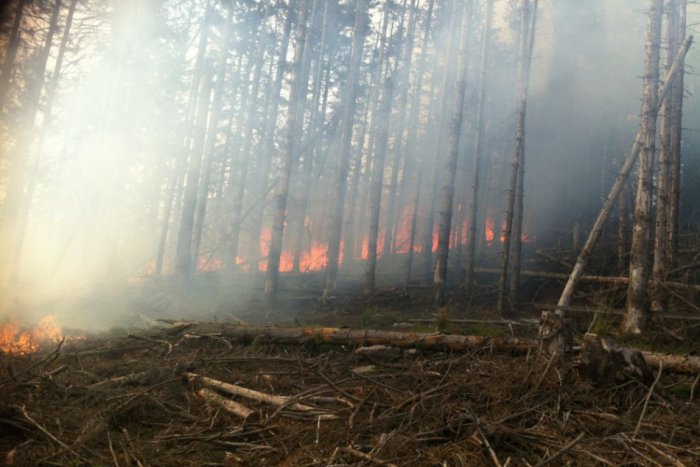 Ilustračný obrázok k článku Požiar sa stále nedarí zastaviť: Plamene postupujú ďalej, škody budú vysoké!