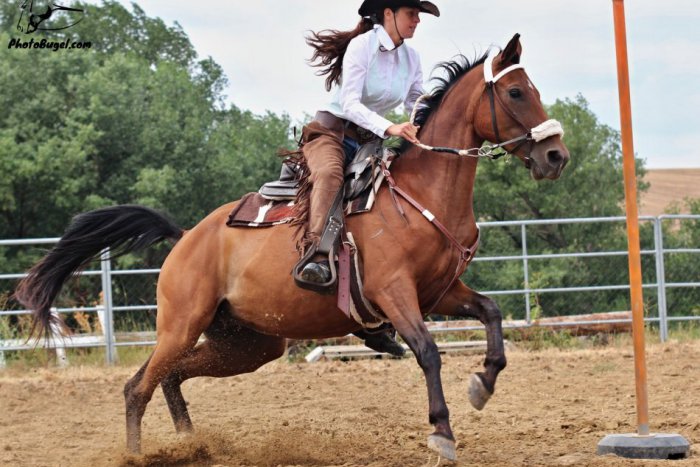 Ilustračný obrázok k článku Vôňa Divokého západu: Westernové preteky na Malom Lapáši