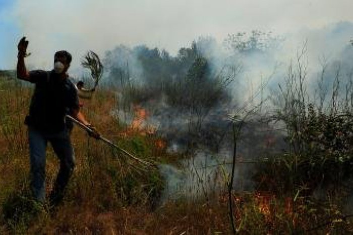 Ilustračný obrázok k článku Pri železničnej trati vypukol požiar, od Hronskej Dúbravy nejazdili vlaky!