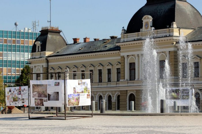 Ilustračný obrázok k článku Do Nitry zavítala zaujímavá výstava: Ponorte sa do života v Keni