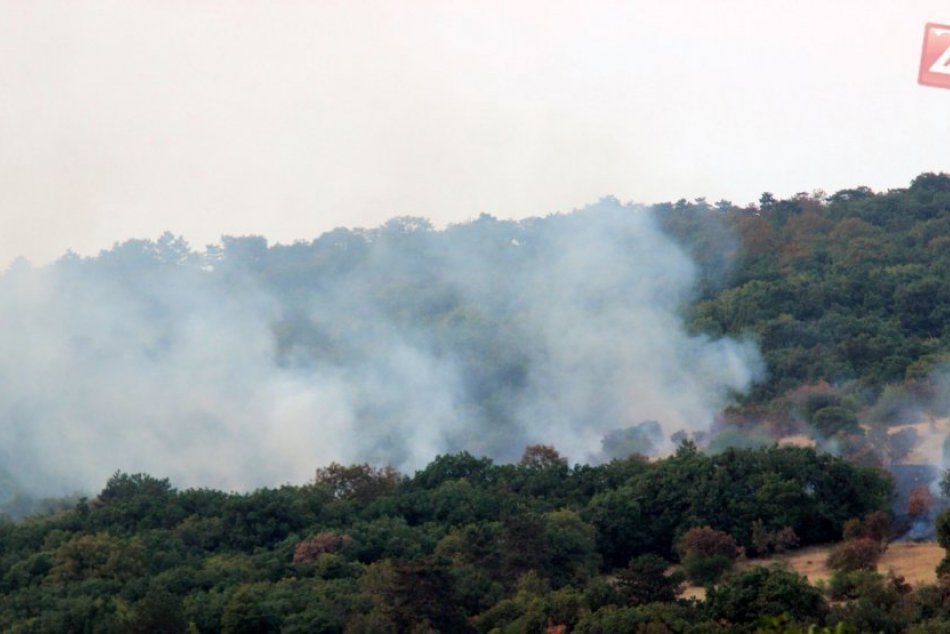Ilustračný obrázok k článku Začala sa sezóna záhradných prác: Pozor na vypaľovanie tráv, hrozí vám pokuta!