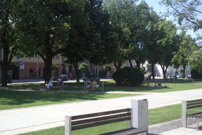 Ilustračný obrázok k článku Tomu sa povie tuhý koreň: Vo Zvolene žijú 2 muži a 6 žien s obdivuhodným vekom