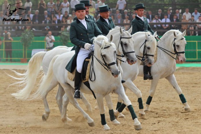 Ilustračný obrázok k článku Zápis z Topoľčianok: Zoznam nehmotného kultúrneho dedičstva sa rozrástol