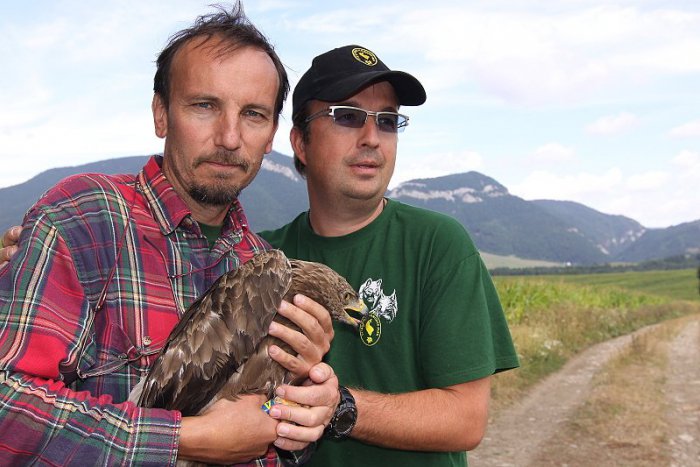 Ilustračný obrázok k článku Orol Arnold vysiela prvé údaje. Jeho cesta povedie do Afriky