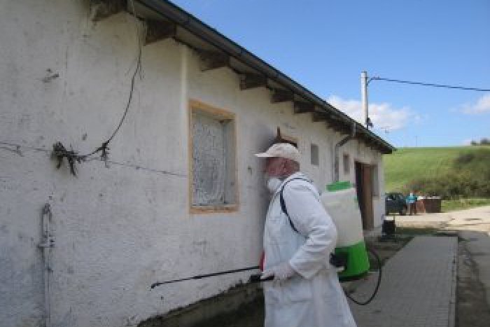 Ilustračný obrázok k článku Zamorené mesto od premnožených ploštíc: Nasadili na na ne dymiace dezinsekčné prístroje!