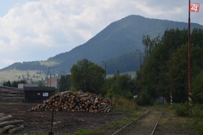 Ilustračný obrázok k článku Dvaja mladíci (17, 18) okradli staršiu pani: Z lupu sa dlho netešili