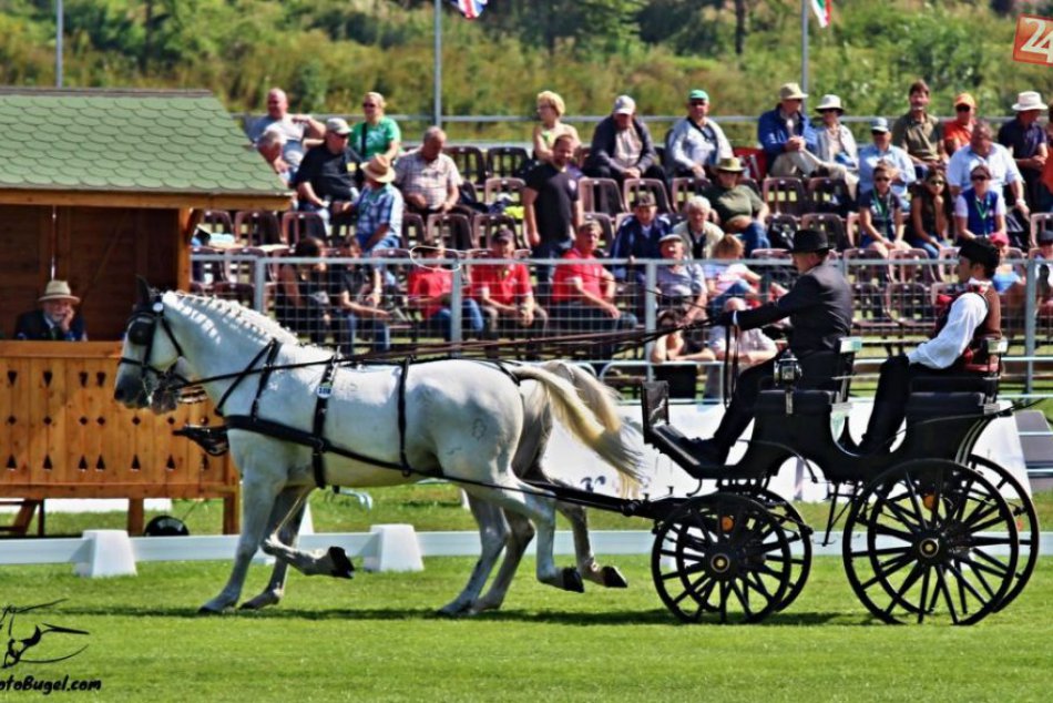 Ilustračný obrázok k článku Veľký prehľad na rok 2016: Národný žrebčín Topoľčianky pripravuje množstvo zaujímavých podujatí