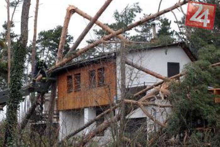Ilustračný obrázok k článku Pozor na silný vietor: Meteorológovia vydali výstrahu druhého stupňa!