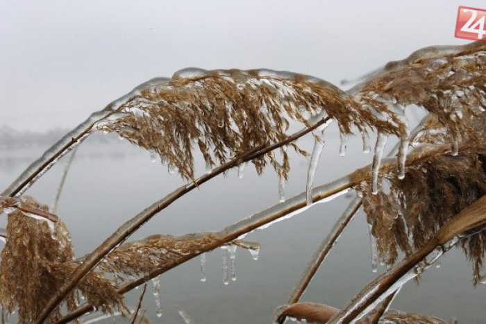 Ilustračný obrázok k článku Meteorológovia varujú: Bacha na prízemné mrazy cez víkend