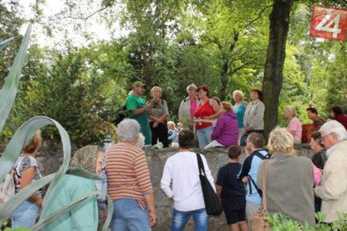 Ilustračný obrázok k článku Ocenili seniorov dobrovoľníkov: Titul Dobrá duša putuje aj do Nitry!