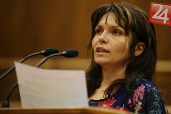 Ilustračný obrázok k článku Poslankyňa z Popradu dobýja internet: Takto sa Helena Mezenská rozohnila v parlamente!