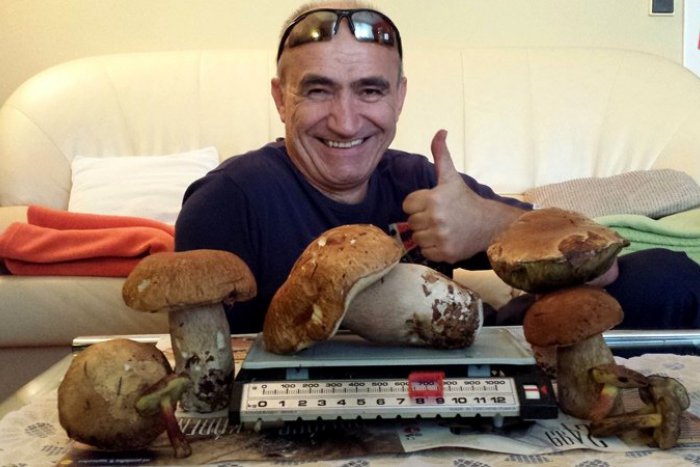 Ilustračný obrázok k článku Súťaž o najkrajší hubársky úlovok: Zahlasujte za svojho víťaza