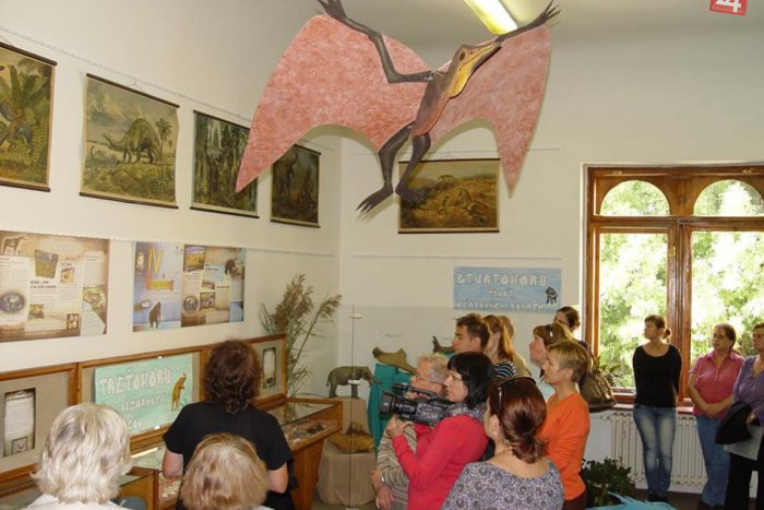 Ilustračný obrázok k článku Jediný exemplár na svete: V Bystrici vystavujú pravekého trojnohého medveďa!