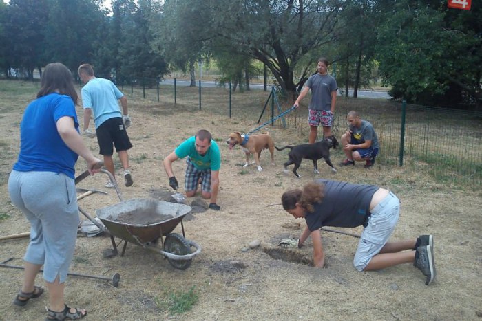 Ilustračný obrázok k článku Dobrá správa pre psíčkarov: Na Západe otvoria novovybudované prekážky pre vašich miláčikov