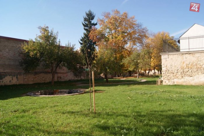 Ilustračný obrázok k článku Záhrada už nevyzerá ako dvor u babičky: Cez víkend sa predstaví v plnej kráse