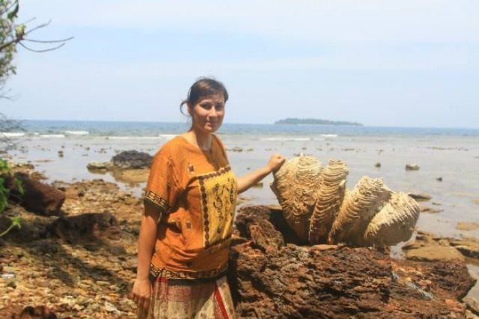 Ilustračný obrázok k článku Naša redaktorka píše z Ázie: 10 vecí, ktoré na Slovenku nezažijete, ale v Indonézii určite áno