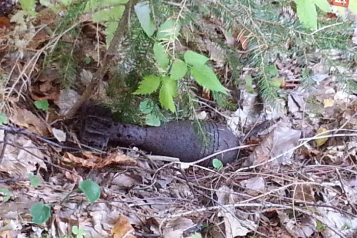 Ilustračný obrázok k článku Prekvapení hubári: Namiesto dubákov našli mínu