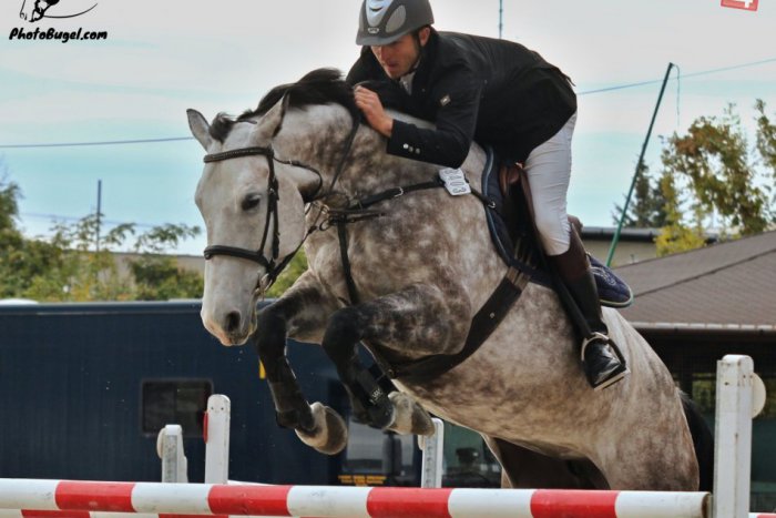 Ilustračný obrázok k článku Skokové preteky v Národnom žrebčíne: Mladé kone predviedli svoje umenie