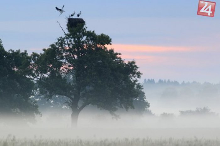 Ilustračný obrázok k článku Pozor na hmlu: Dohľadnosť miestami len 100 metrov!